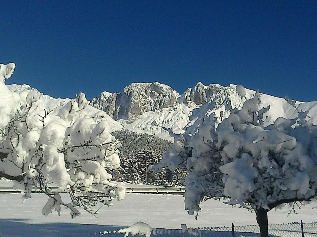 Hotel Des Alpes Castione della Presolana Luaran gambar