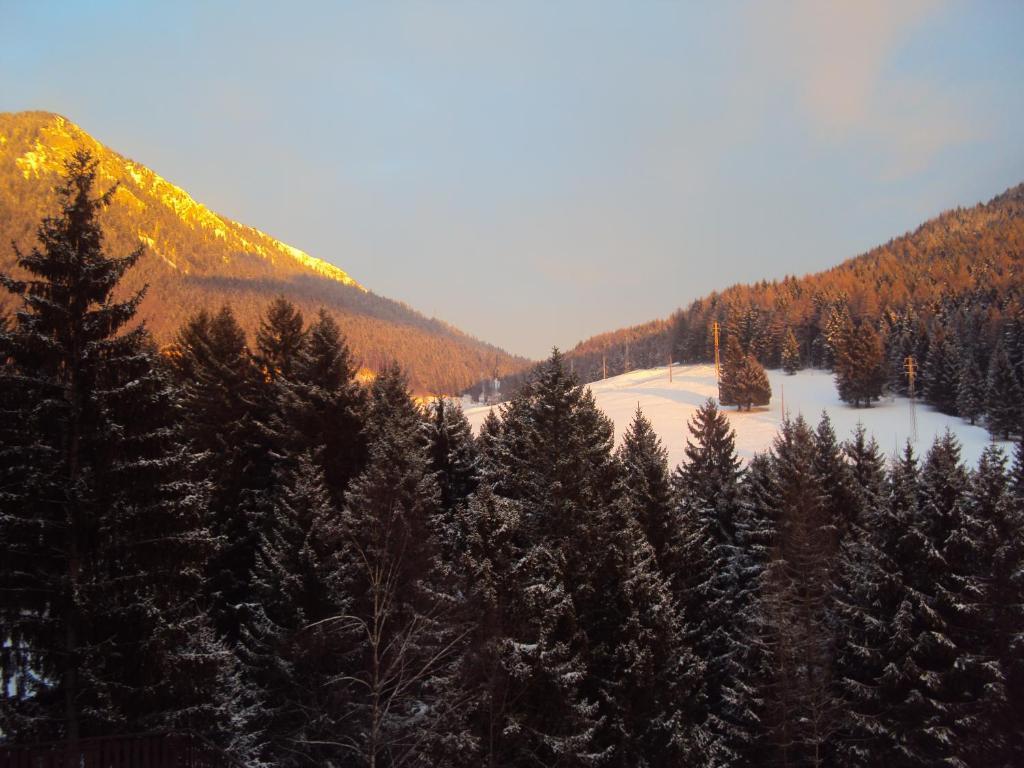 Hotel Des Alpes Castione della Presolana Bilik gambar