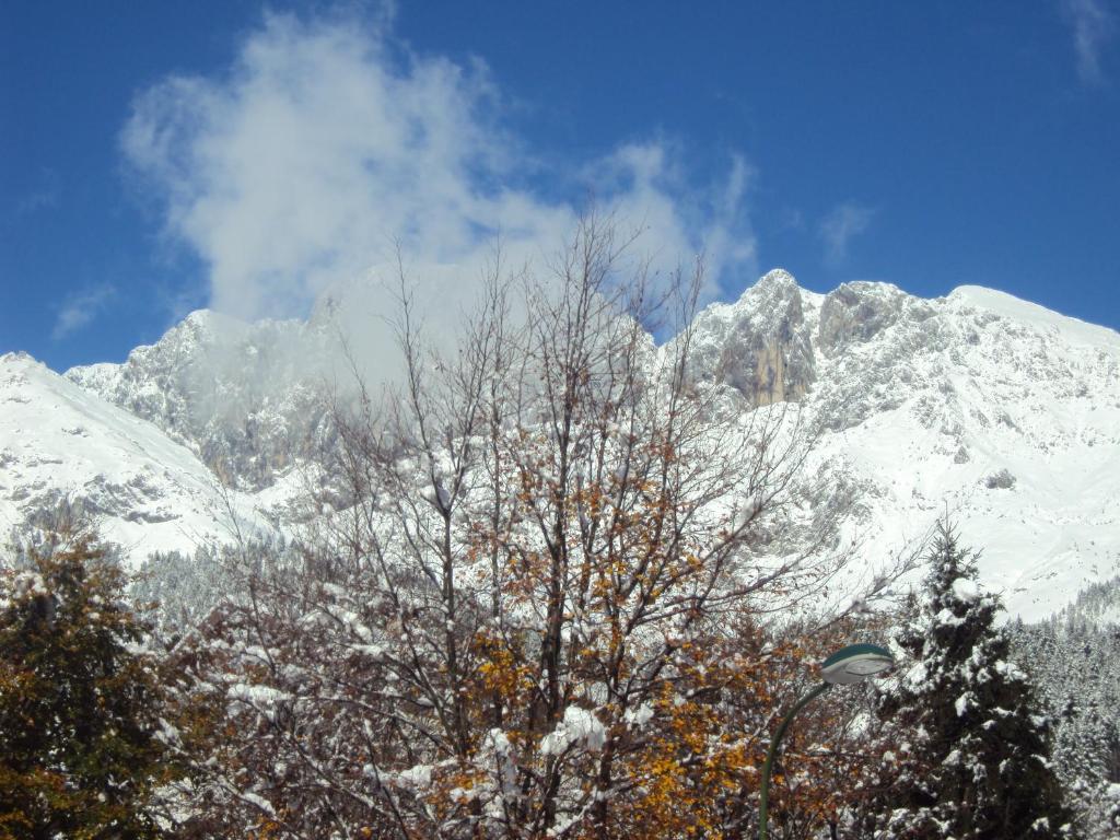Hotel Des Alpes Castione della Presolana Bilik gambar