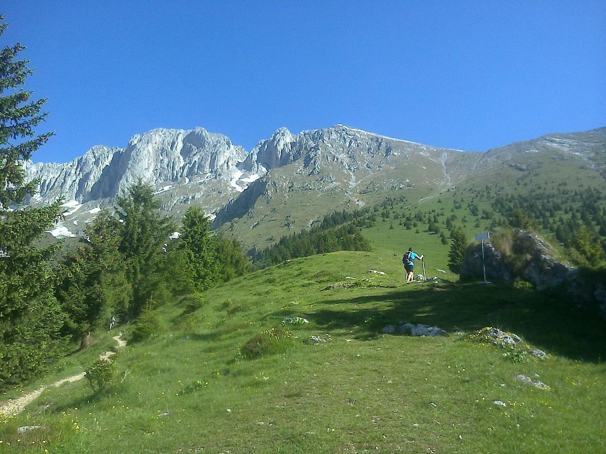 Hotel Des Alpes Castione della Presolana Luaran gambar